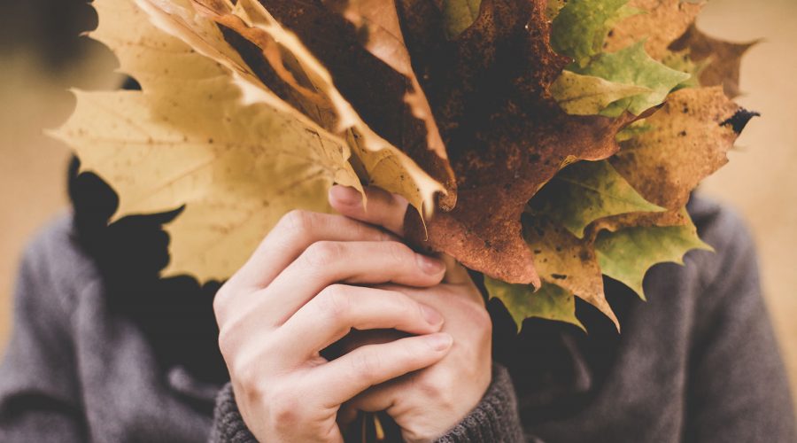 Autumn: A Season Of Falling Leaves